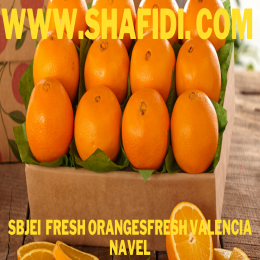 FRESH ORANGESFRESH VALENCIA NAVEL